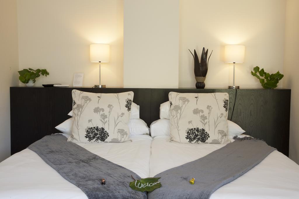 Keren'S Vine Guesthouse Stellenbosch Ngoại thất bức ảnh