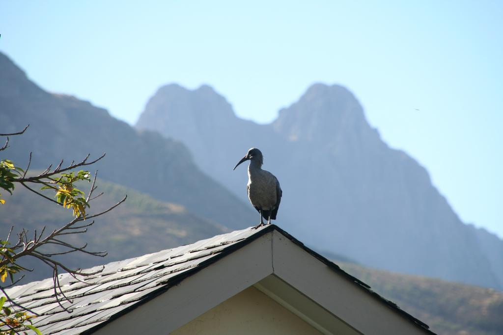 Keren'S Vine Guesthouse Stellenbosch Ngoại thất bức ảnh