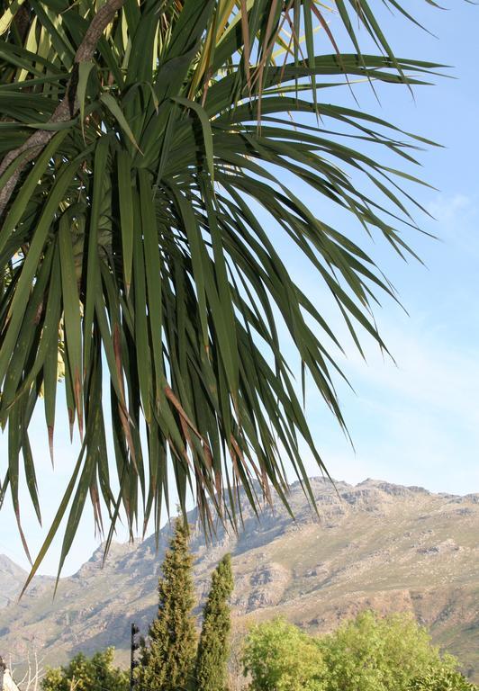 Keren'S Vine Guesthouse Stellenbosch Ngoại thất bức ảnh